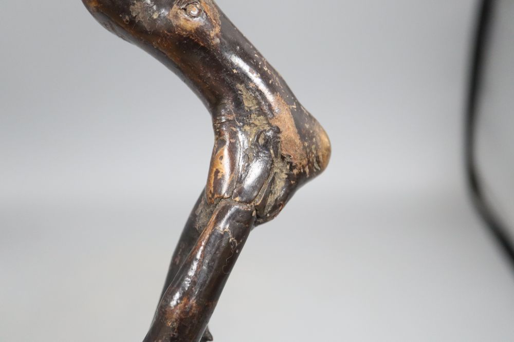 A Blackthorn hedgerow walking stick, c.1820